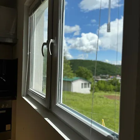 The View *